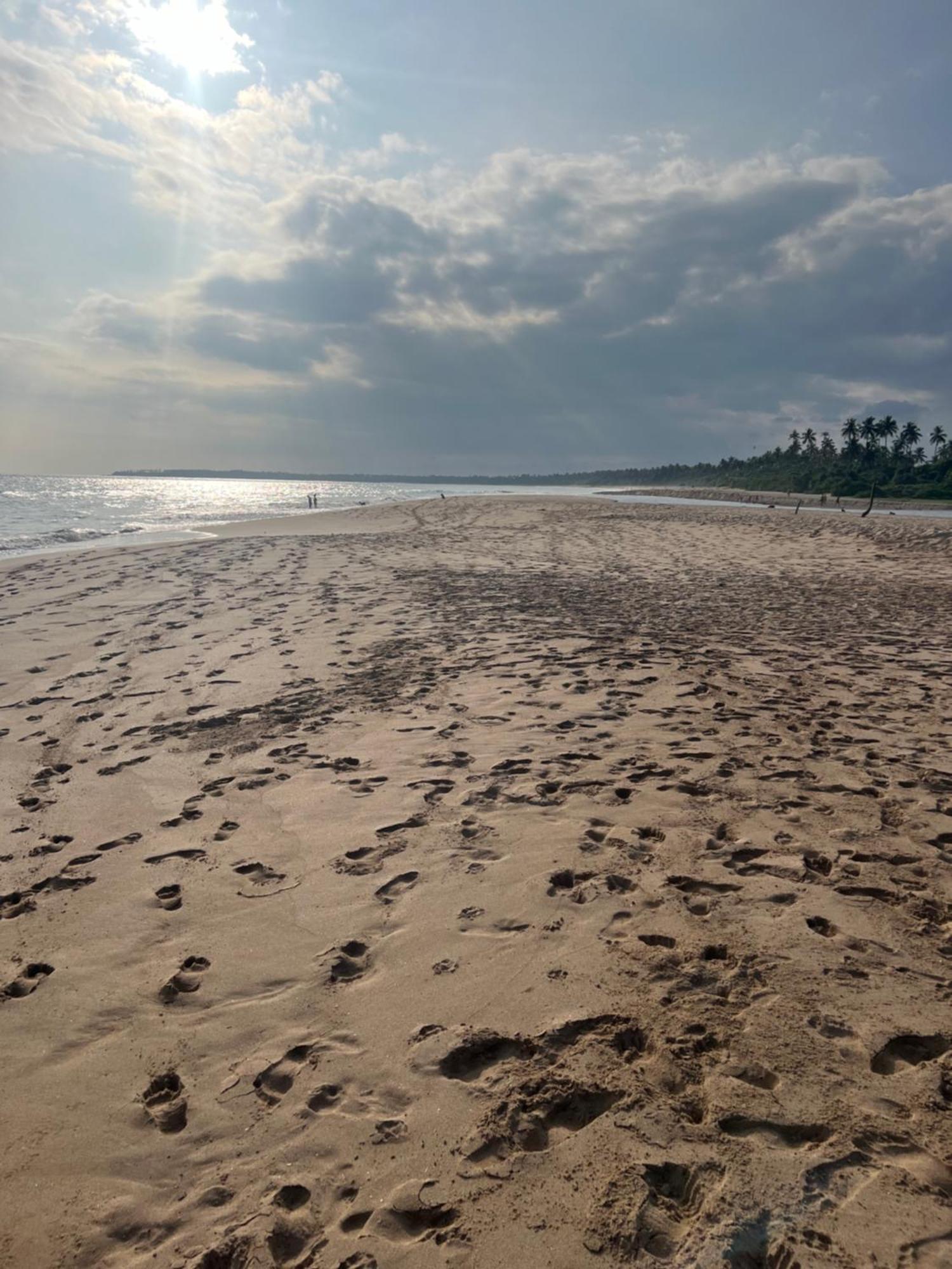 Seth Villa By Magampura Resorts Tangalle Buitenkant foto